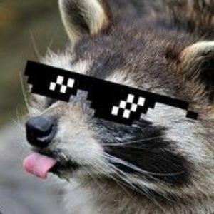 FraccoonKZN