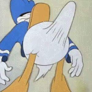Tommysimp avatar