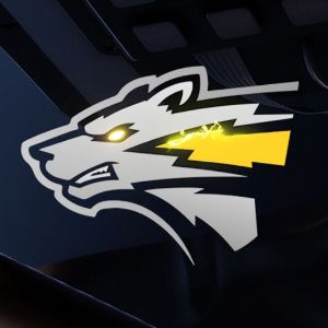 Gg лого. Storm wolves. Storm wolves. Wolf logo котлы. Storm wolves.