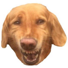 VOR-ALESHA