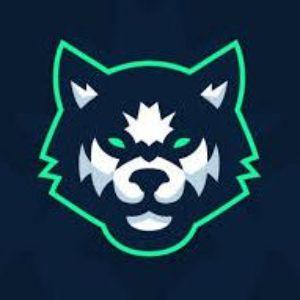 Jester13- avatar