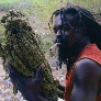 nicemindu avatar