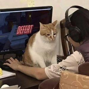nNawTy avatar