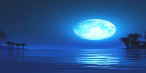 MoonLight-K- avatar