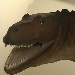 BuffaloJames avatar