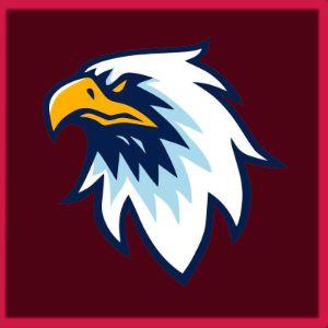 The_EagIe avatar