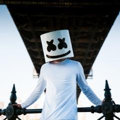 L37ELS avatar