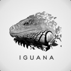 IguanaStick