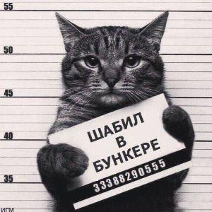 dmitriy_l1x avatar