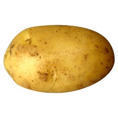 OrZsi