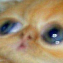 Singhaman avatar