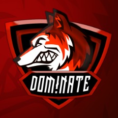 Faceit Avatar