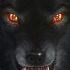 FierceMaddog
