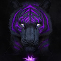 team__Kr4keen