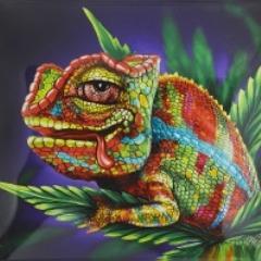Faceit avatar