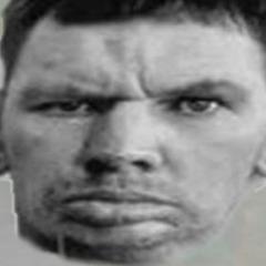Sveil_VIP avatar