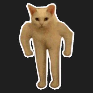 derun1 avatar