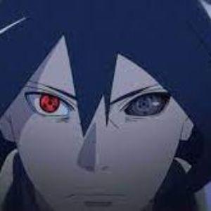 molotbog avatar