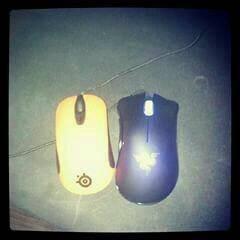 Player bajcepsooo avatar