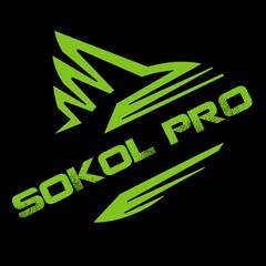 hypersokol avatar