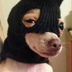 Finni_ avatar