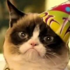 L4RKjke avatar