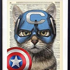 Player CATJOE avatar