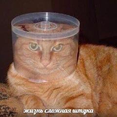Fearevil
