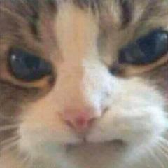 Zamgrauchter avatar
