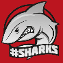 Faceit profile picture for @hohj