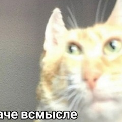 bel0v_