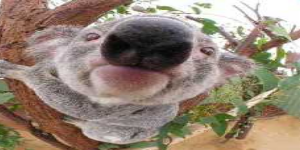 RudderJack_