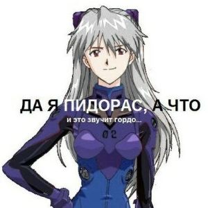 barsikcat
