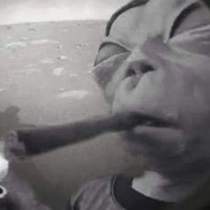 Danon231014 avatar