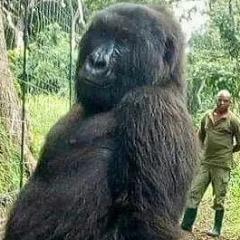 kuuzzy avatar