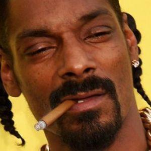 HarroWek avatar