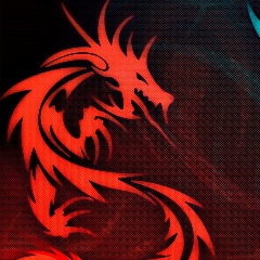 Paki-_- FACEIT avatar