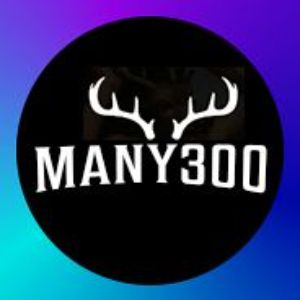 Many300