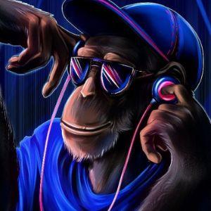 Player _d1p1_ avatar