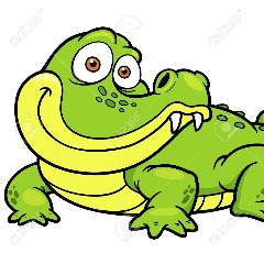crocadil