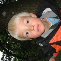 CB007 avatar