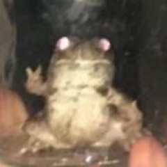 MyOpinion