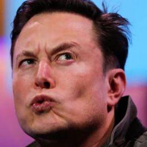 DogeMusk avatar