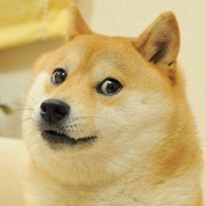 SoonCSGO avatar