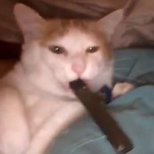 erik1001 avatar