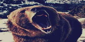 Nove4ek avatar