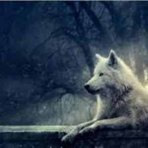 BTheWolf