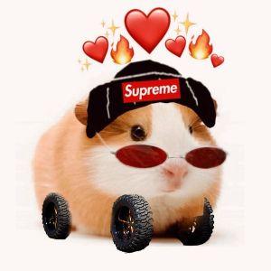 -Anedi avatar