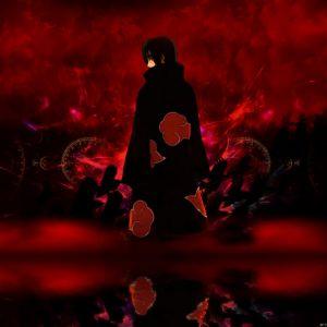 SoLy_ avatar