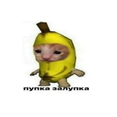 mhrvst avatar